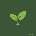 Growing Garden